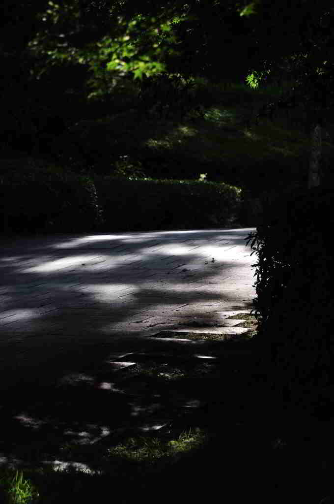 馬見丘陵公園にて