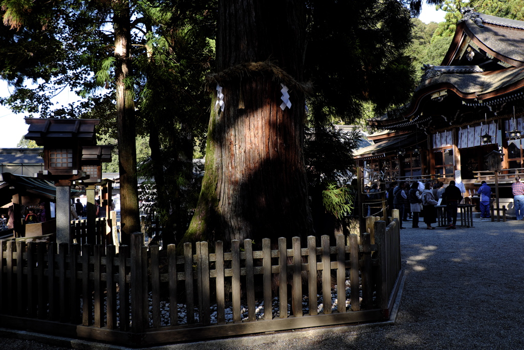 22、晩秋の三輪明神　大神神社