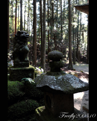 22、初秋の室生龍穴神社