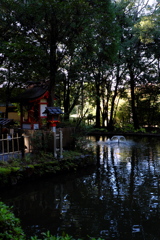 40、晩秋の三輪明神　大神神社