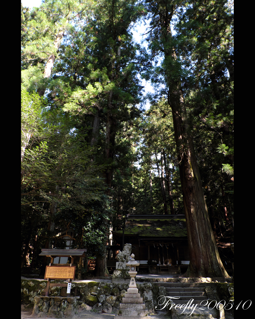 8、初秋の室生龍穴神社