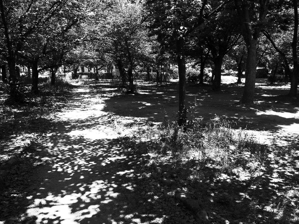長居公園 I