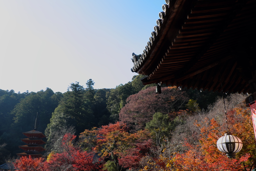 96、晩秋の真言宗豊山派総本山 長谷寺