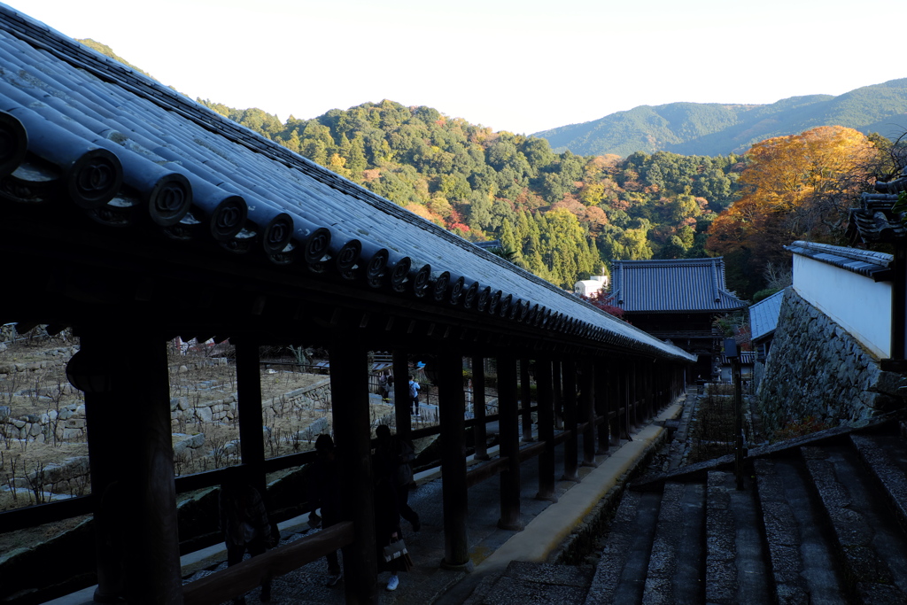 149、晩秋の真言宗豊山派総本山 長谷寺