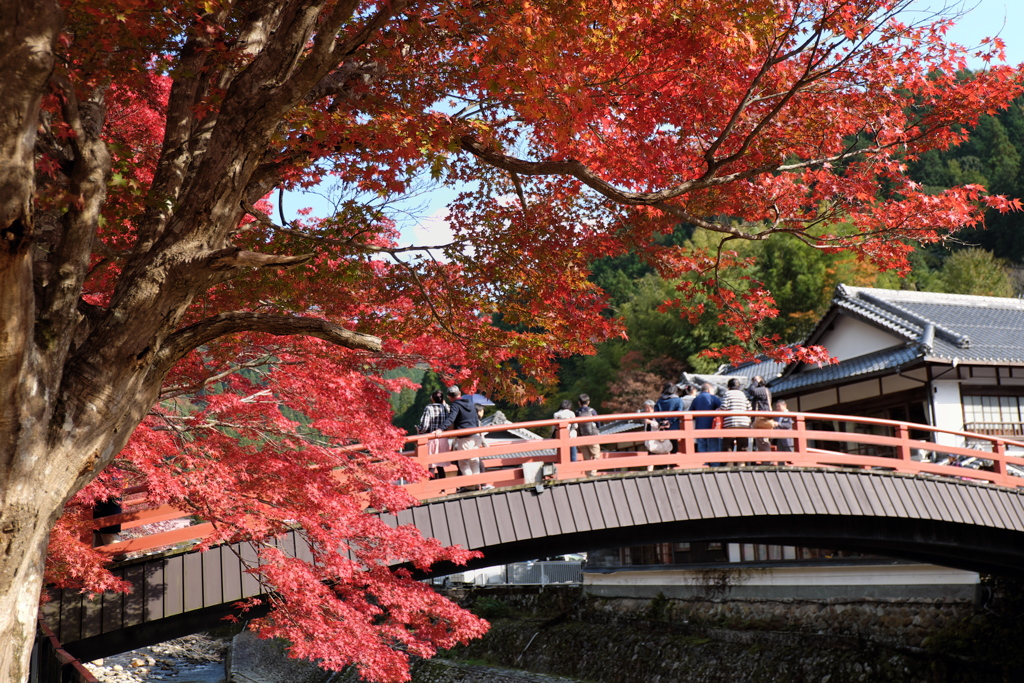 3、女人高野　晩秋の室生寺