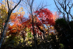 132、晩秋の真言宗豊山派総本山 長谷寺