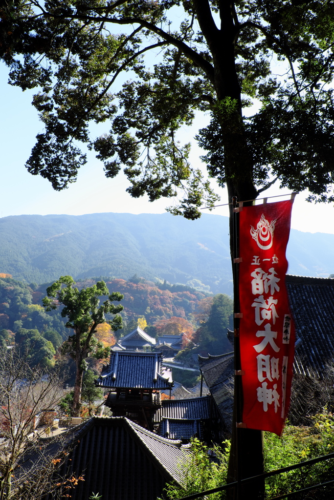 88、晩秋の真言宗豊山派総本山 長谷寺