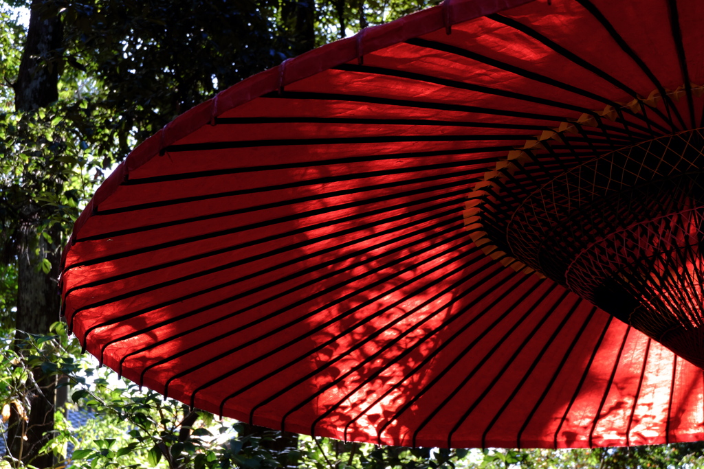 28、晩秋の三輪明神　大神神社