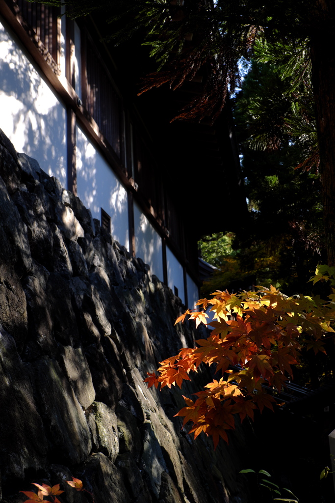 26、晩秋の三輪明神　大神神社