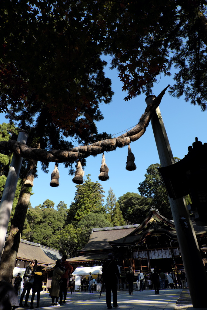 15、晩秋の三輪明神　大神神社