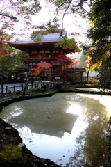 58、女人高野　晩秋の室生寺