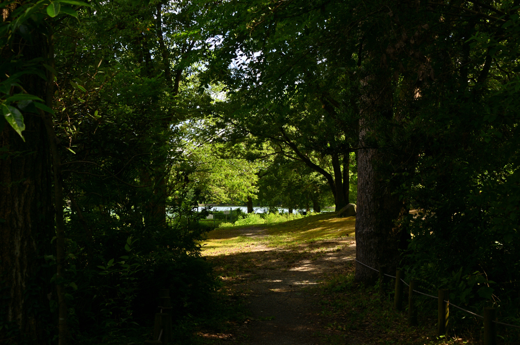 馬見丘陵公園にて