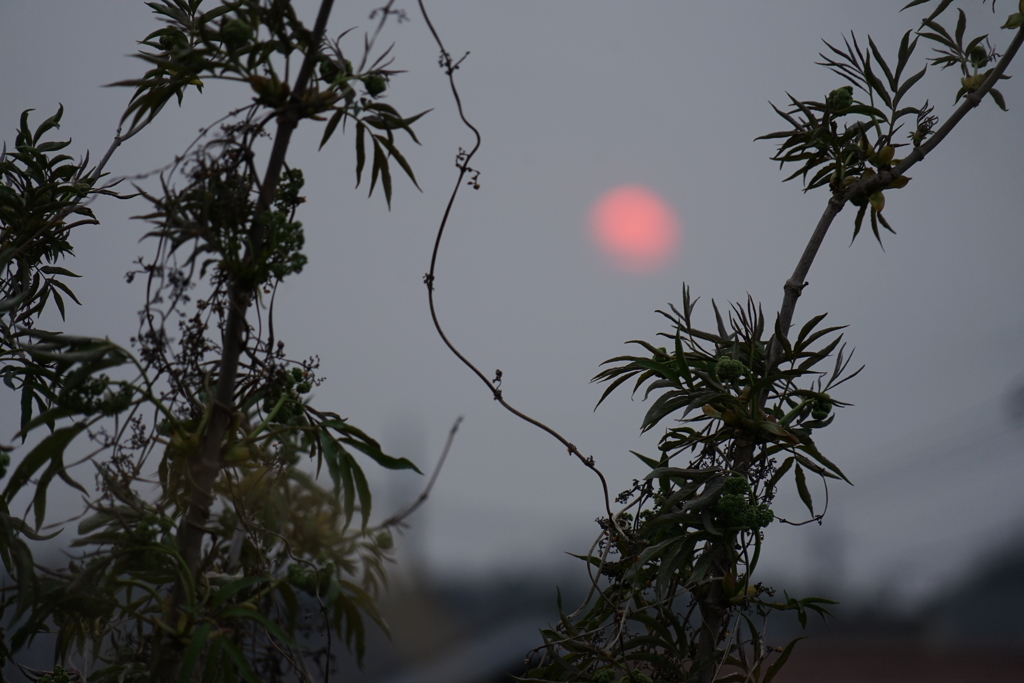 初めての夕陽