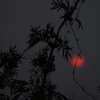 初めての夕陽
