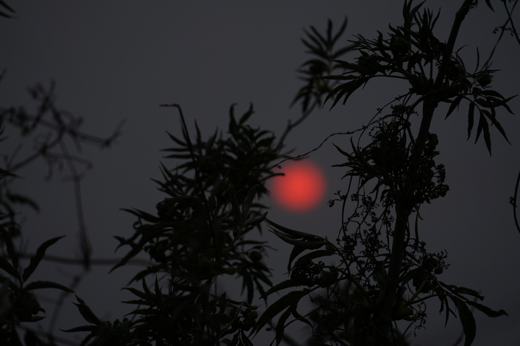 初めての夕陽