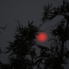 初めての夕陽