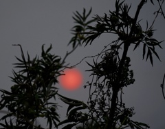 Hazy sunset,gray and red.