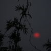 初めての夕陽