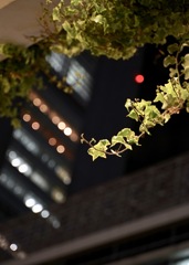 新宿の夜