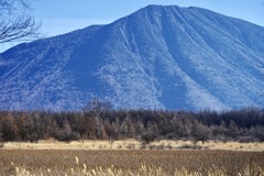 貴婦人と男体山