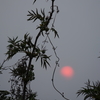 初めての夕陽