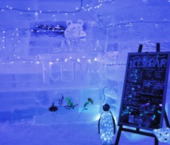 ice bar