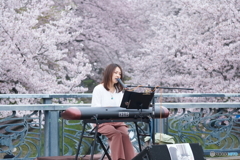 2017／04／08 美根ゆり香 吹上さくらまつり