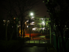 家路