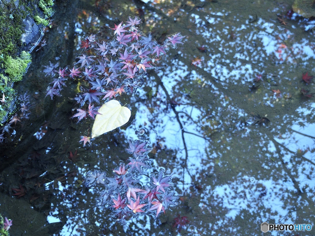 水面のハート