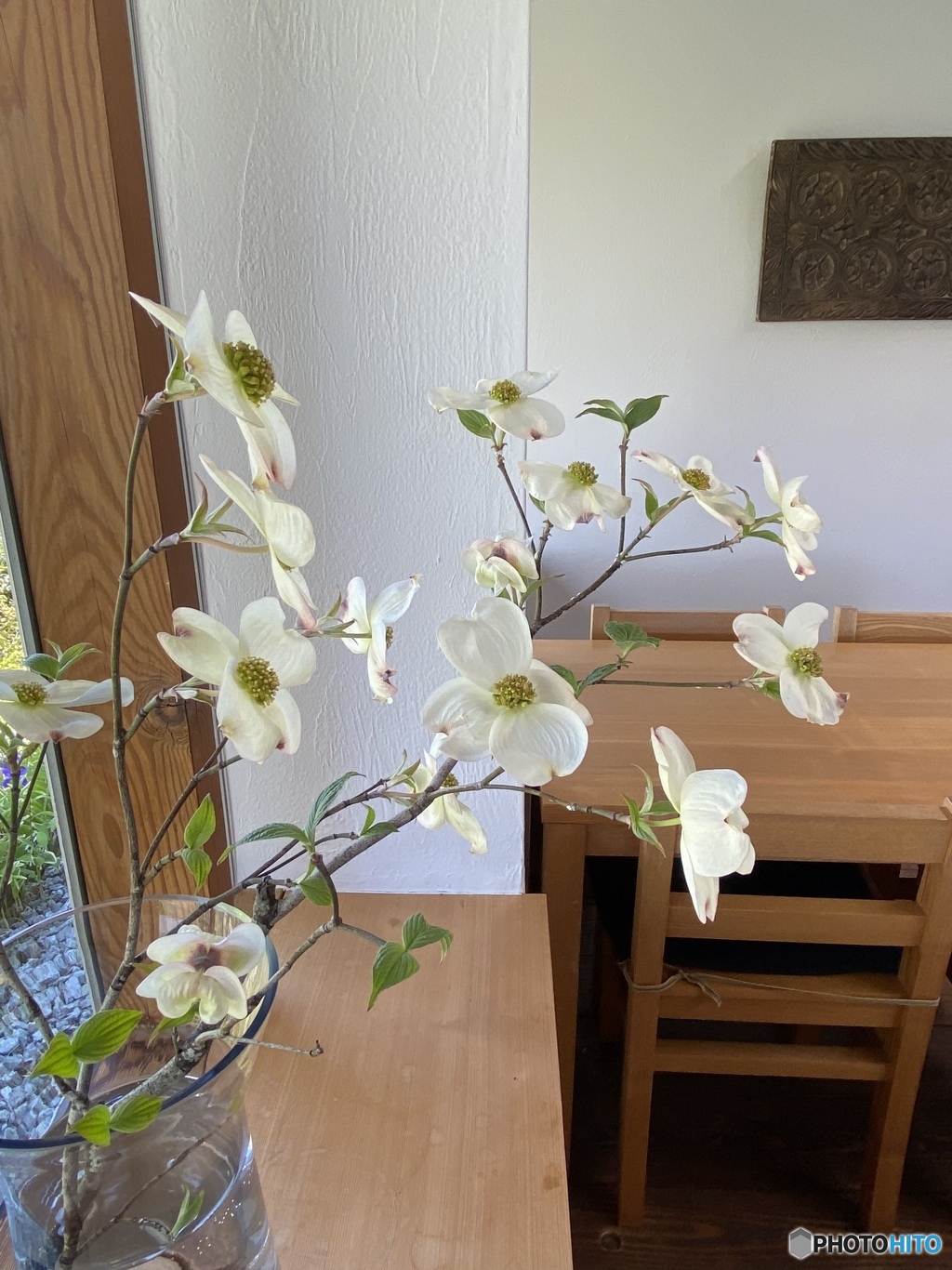 花水木とテーブルと