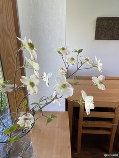 花水木とテーブルと