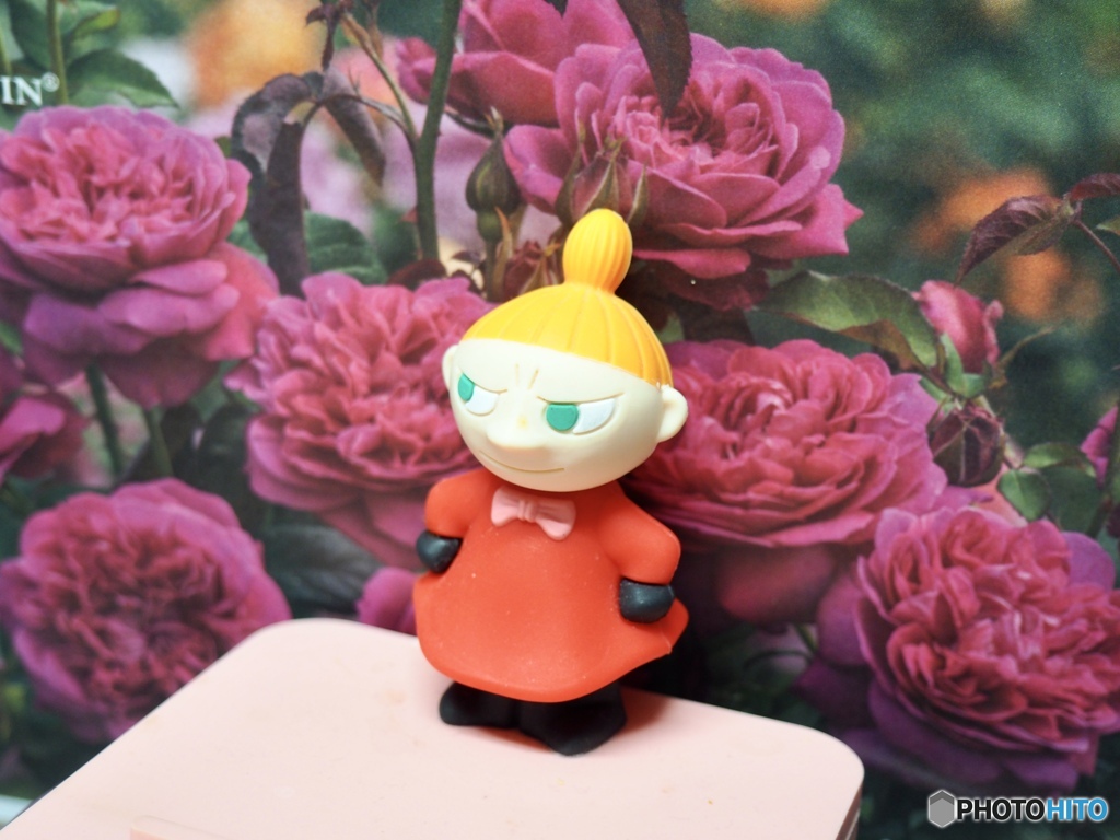 わたしも薔薇がすきなのよ