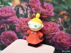 わたしも薔薇がすきなのよ