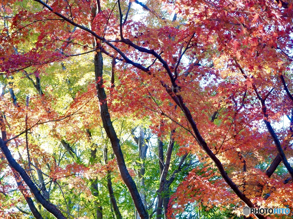 11月23日