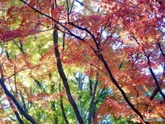 11月23日