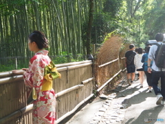 お嬢さん、此方を向いて下さいな