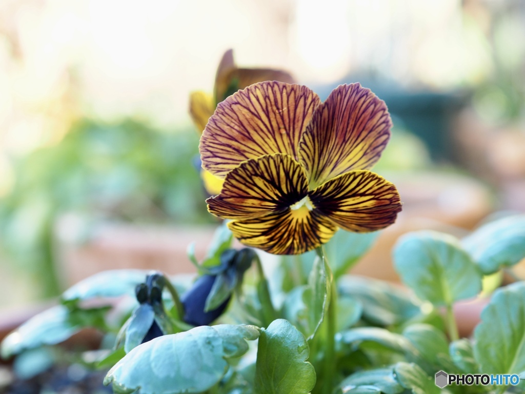 ビューンと風が吹いて…