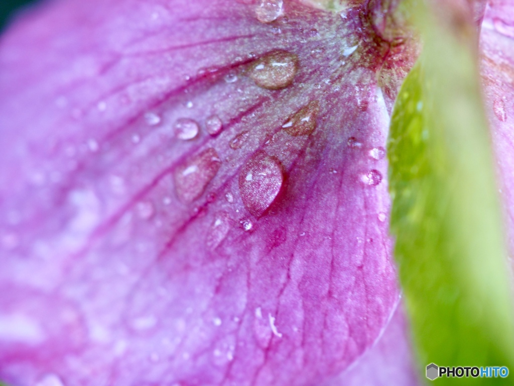 後ろから失礼します