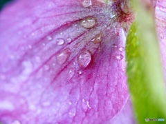 後ろから失礼します