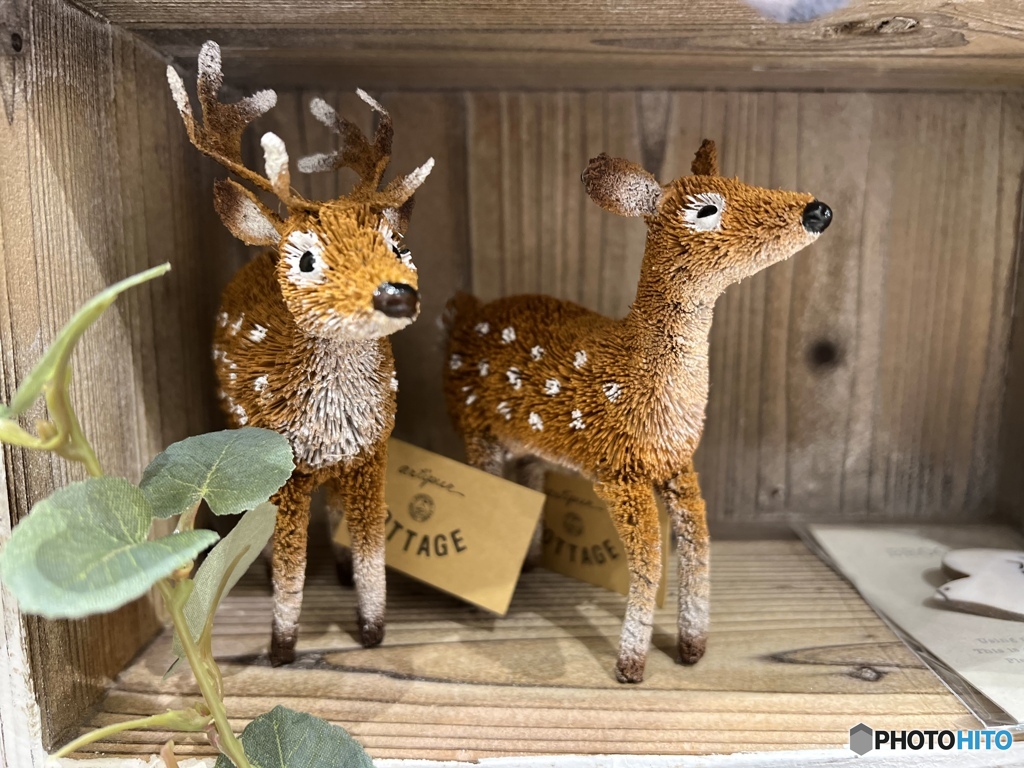 ボクらはこの場所で…