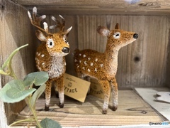 ボクらはこの場所で…