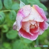 Love rain