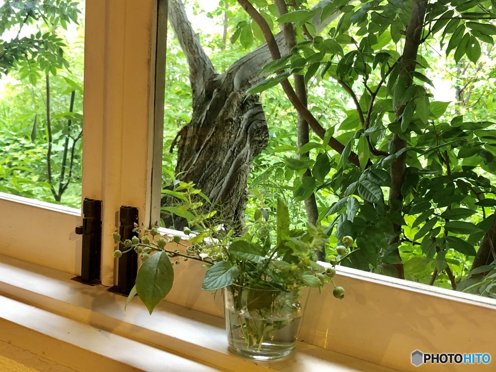 caféの窓から…