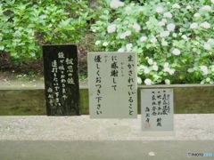 生かされていること