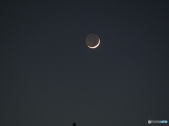 28日の昨日は1.6日月でした