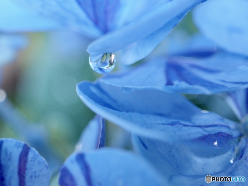 Light-blue tear
