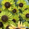 7月10日