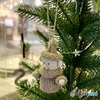 煌めくクマさん