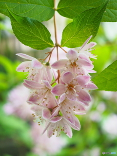 反対向きじゃないのです…こうして頭を下にして