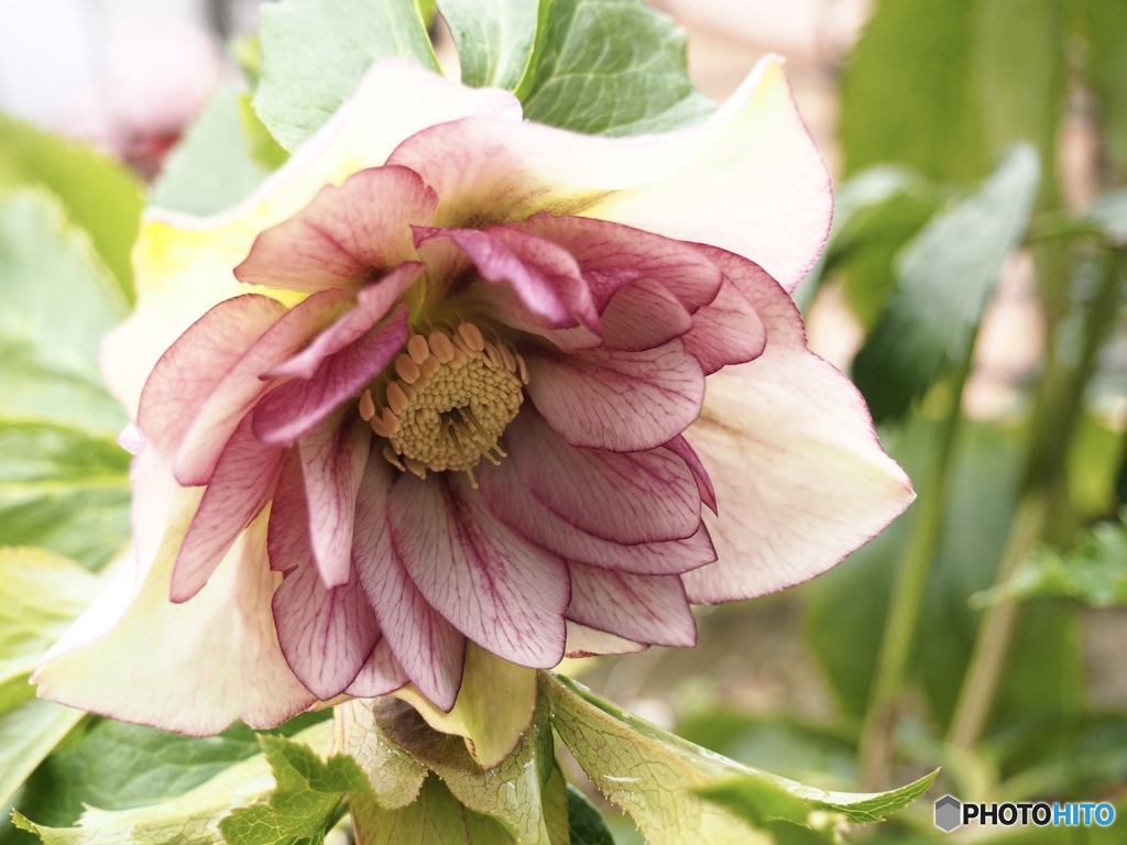 地面の上のAM 11:11